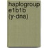 Haplogroup E1b1b (y-dna)