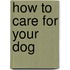 How To Care For Your Dog