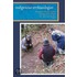 Indigenous Archaeologies