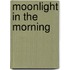 Moonlight In The Morning