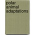 Polar Animal Adaptations