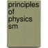 Principles Of Physics Sm