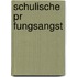 Schulische Pr Fungsangst