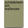 Schädelweh am Wallersee by Wolfgang Schinwald