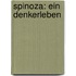 Spinoza: Ein Denkerleben