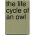 The Life Cycle Of An Owl