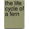 The Life Cycle of a Fern door L.L. Owens