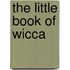 The Little Book Of Wicca