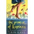 The Promise Of Happiness