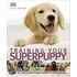 Training Your Superpuppy