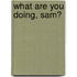 What Are You Doing, Sam?
