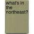 What's In The Northeast?