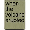When The Volcano Erupted door Hugh Price