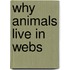 Why Animals Live in Webs