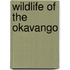 Wildlife Of The Okavango