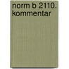 Norm B 2110. Kommentar door Hermann Wenusch