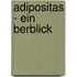 Adipositas - Ein Berblick