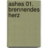 Ashes 01. Brennendes Herz