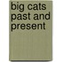 Big Cats Past and Present