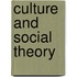 Culture And Social Theory
