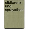 Elbflorenz Und Sprayathen door Richard Deiss