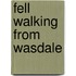 Fell Walking From Wasdale