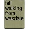 Fell Walking From Wasdale by Clare Brown