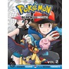 Pokemon Black and White 2 door Hidenori Kusaka