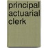 Principal Actuarial Clerk