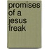 Promises Of A Jesus Freak