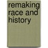 Remaking Race And History