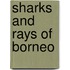 Sharks and Rays of Borneo