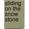 Sliding On The Snow Stone door Andy Szpuk