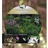 The Ecosystem of a Garden