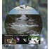 The Ecosystem of a Stream