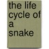 The Life Cycle of a Snake
