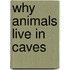 Why Animals Live in Caves