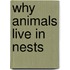 Why Animals Live in Nests