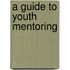 A Guide To Youth Mentoring