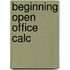 Beginning Open Office Calc