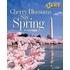 Cherry Blossoms Say Spring