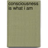 Consciousness Is What I Am door Joel S. Goldsmith