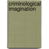 Criminological Imagination door Jock Young