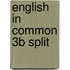 English In Common 3B Split