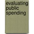 Evaluating Public Spending