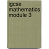 Igcse Mathematics Module 3 door University of Cambridge Local Examinations Syndicate