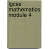 Igcse Mathematics Module 4 door University of Cambridge Local Examinations Syndicate