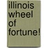 Illinois Wheel of Fortune!
