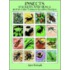 Insects Stickers And Seals