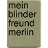 Mein blinder Freund Merlin